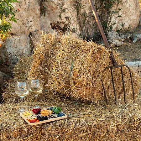 招待所 Masseria Borgo Monaci -