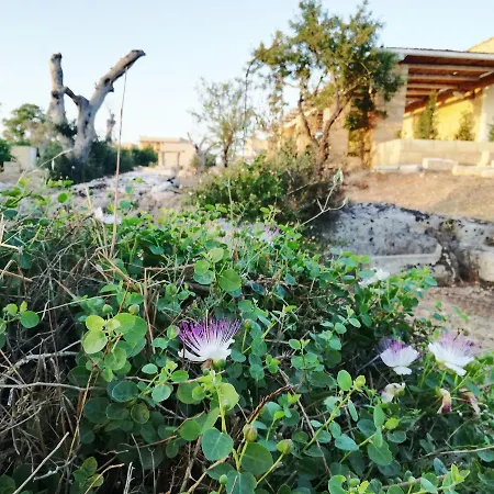 Masseria Borgo Monaci